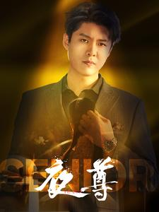 《夜尊（95集）短剧》手机随时随地看