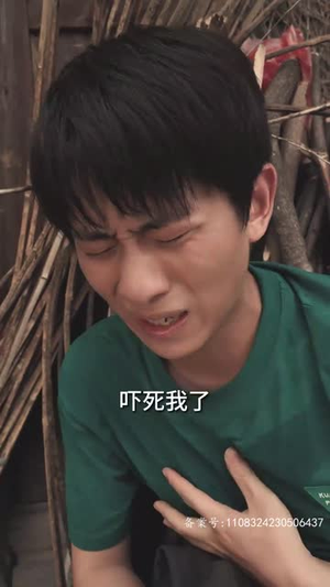 《我的1988（71集）短剧》高清画质免费追剧