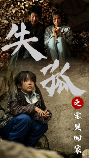 《失孤之宝贝回家（71集）短剧》寻亲之旅在线观