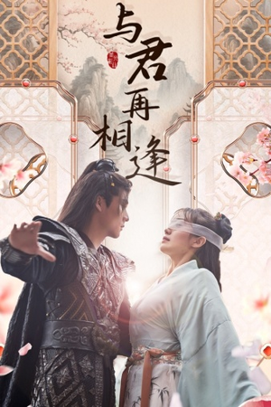 《与君再相逢（70集）短剧》热门短剧必追