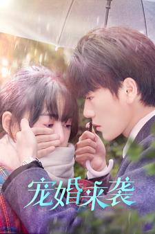 《宠婚来袭（102集）短剧》每日更新追不停