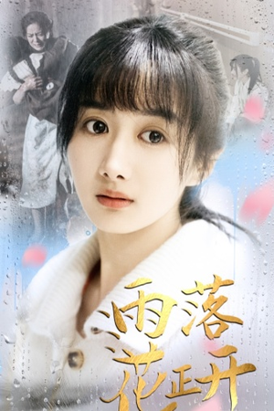 《雨落花正开（62集）短剧》一键直达轻松看