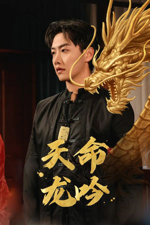 《天命龙吟（48集）短剧》流畅短剧随心看