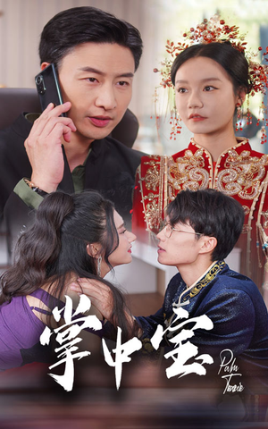 《掌中宝（31集）短剧》热门短剧一睹为快