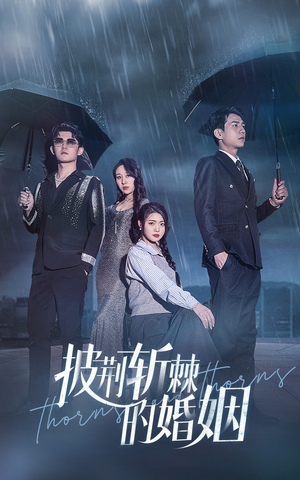 《披荆斩棘的婚姻（70集）短剧》全集短剧一次看过瘾