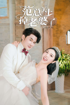 《范总天上掉老婆了（78集）短剧》爆笑短剧在线看