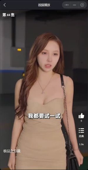 《我的富豪美女总裁（30集）短剧》精彩短剧在线看