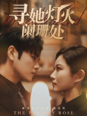 寻她灯火阑珊处（61集）免费看