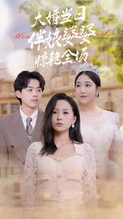 大婚当日伴娘婆婆惊艳全场（30集）精彩连连免费看