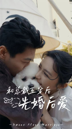 和总裁互穿后先婚后爱（60集）短剧越看越精彩