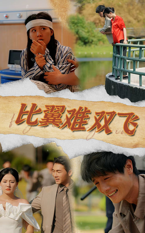 比翼难双飞（30集）在哪里可以全集