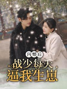 闪婚后战少每天逼我生崽（91集）番茄免费短剧