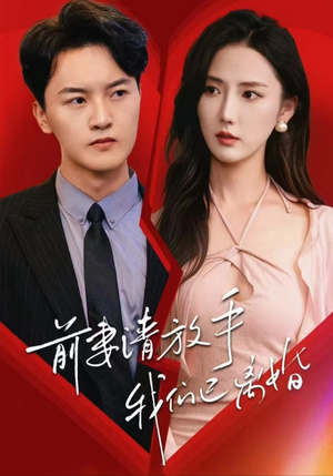 前妻请放手，我们已离婚（86集）超爽短剧推荐