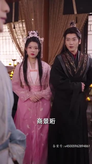 重生后神医王妃要改嫁（83集）在线免费观影