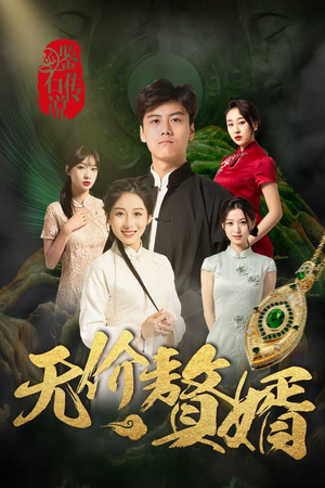 鉴宝传说之无价赘婿（100集）流畅播放免费看