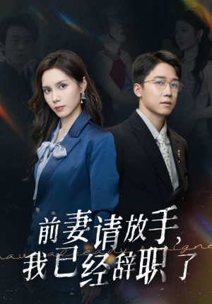 前妻请放手，我已经辞职了（30集）免费观看全集