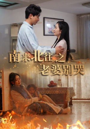 南来北往之老婆别哭（87集）第三季