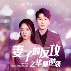 妻子的反攻之华丽逆袭（30集）在线看到大结局