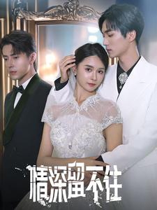 情深留不住（80集）免费短剧就是爽