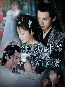 微雨时节恰逢君（82集）热播短剧来袭