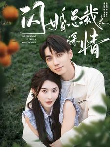 闪婚总裁太深情（93集）精彩短剧看全集