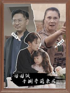 团圆饭手撕奇葩亲戚（40集）1-102集