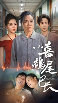 小喜鹊尾巴长（53集）热播短剧免费看