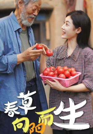 春草向阳而生（53集）全集我都看完了