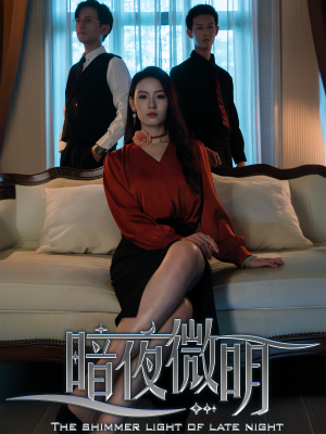 暗夜微明（70集）爆款短剧抢先看