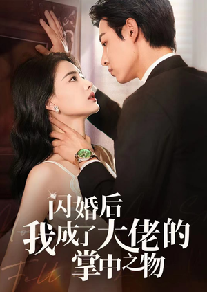 闪婚后我成了大佬的掌中之物（64集）免费短剧资源