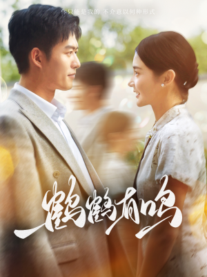 鹤鹤有鸣（87集）精彩的短剧