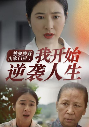 被婆婆赶出家门后我开始逆袭人生（83集）每天分享短剧