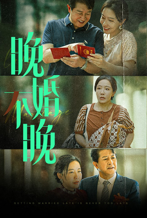 晚婚不晚（30集）全季一次看完