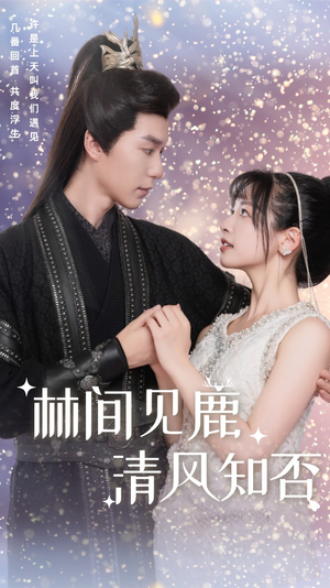 林间见鹿清风知否（62集）在哪里看