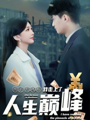 房子烂尾后我走上了人生巅峰（36集）爱上了这部剧了