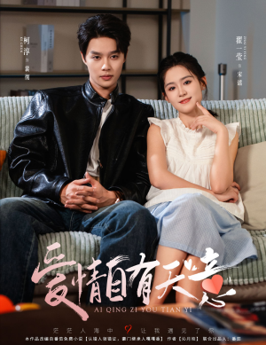 爱情自有天意（60集）全集在线看