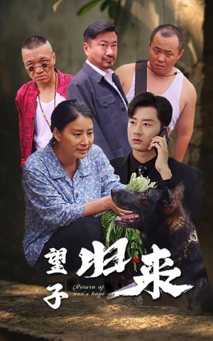 望子归来（50集）短剧越看越精彩