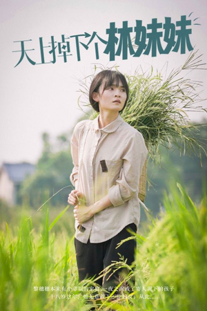天上掉下个林妹妹（81集）大结局完美收官