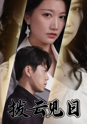 拨云见日（30集）看短剧放松一下