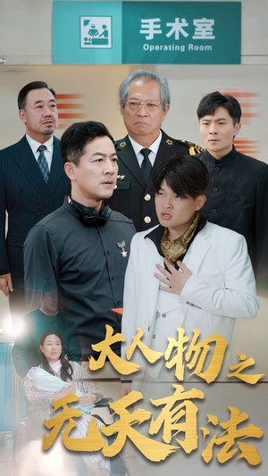 .新大人物之无天有法（35集）1-102集