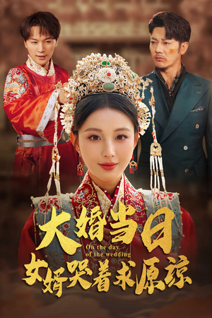 大婚当日，女婿哭着求原谅（31集）最新热剧免费看