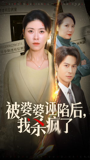 被婆婆诬陷后我杀疯了（30集）在线看