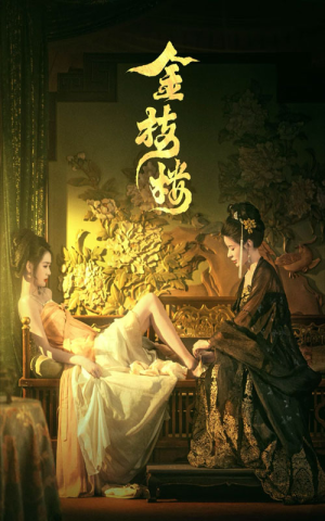 金枝楼（52集）红果短剧看全集