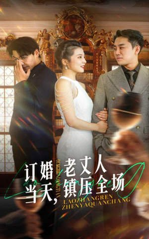 订婚当天，老丈人镇压全场（29集）追短剧看全集