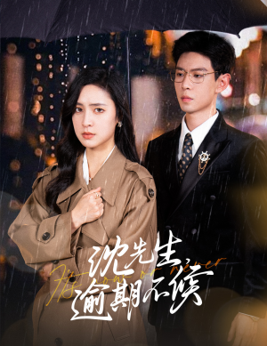 沈先生，逾期不候（75集）热门短剧在线看