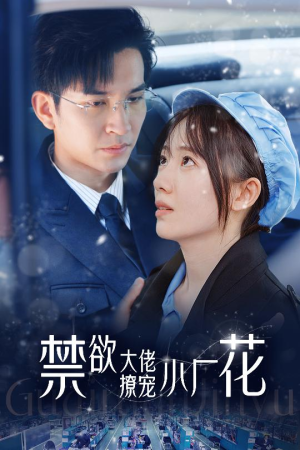禁欲大佬撩宠小厂花&小可怜靠生子宠冠电子厂（54集）经典老剧免费看