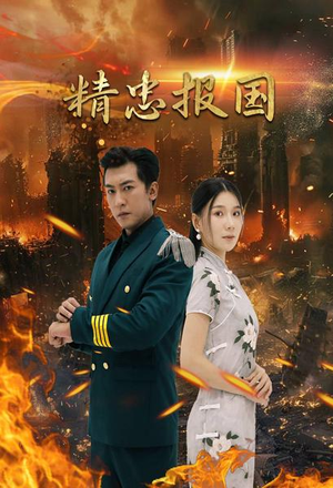 精忠报国（61集）在线看到大结局
