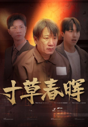 寸草春晖（31集）好看吗