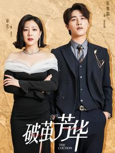 破茧芳华（80集）第32集