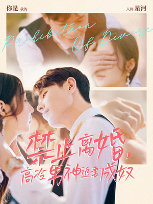 禁止离婚，高冷男神追妻成奴（57集）短剧解说全集